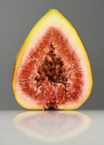 Fig Nectar