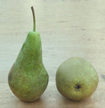 Cool Pear