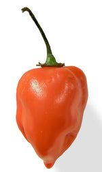 red chilli pepper Habanero