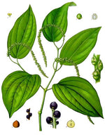 Madagascar Pepper