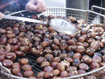 Roasted Chestnut