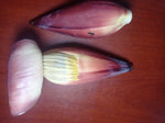 Banana Blossom