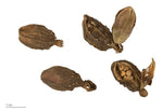 Black Cardamom