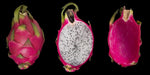 Dragonfruit