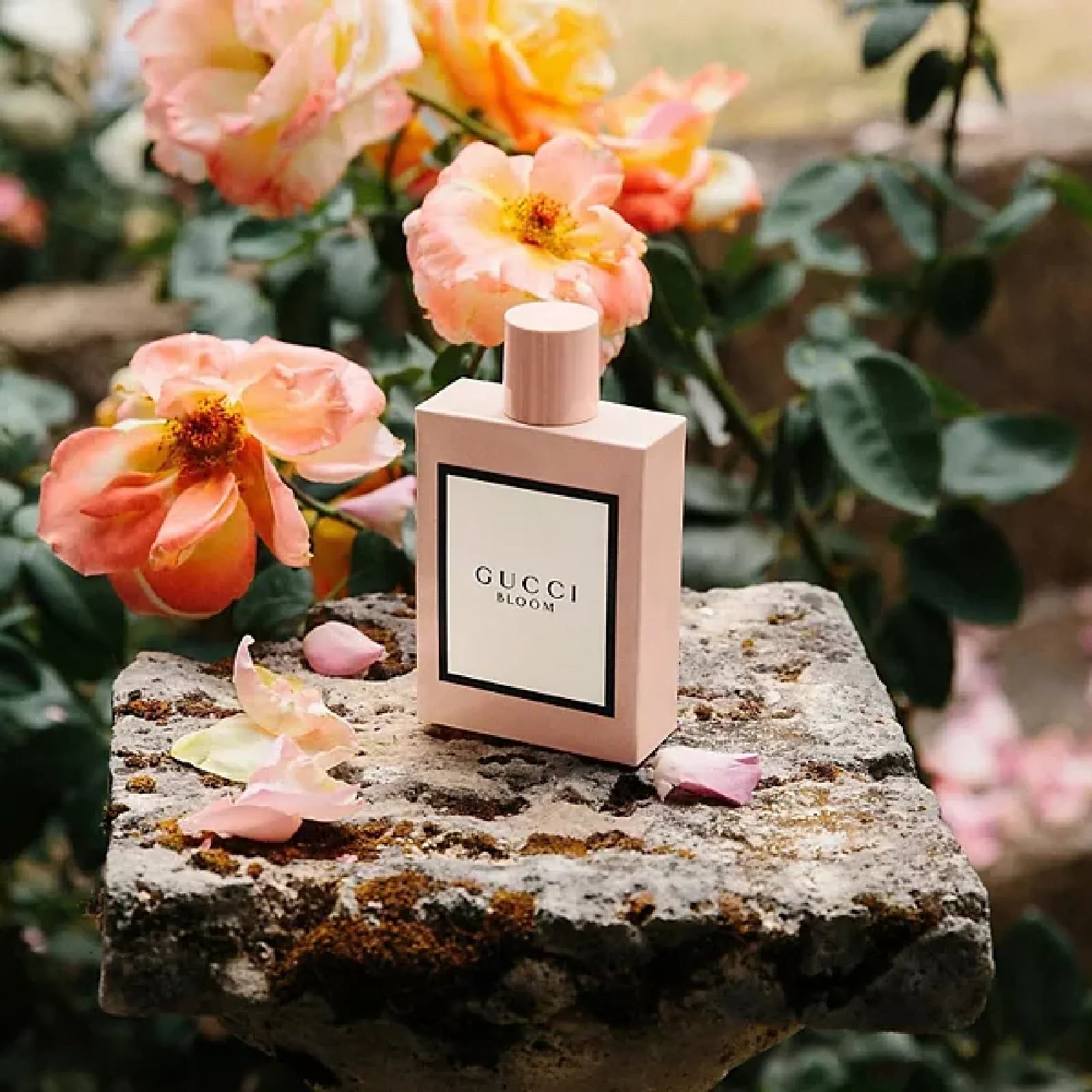 GUCCI BLOOM FOR WOMEN EDP - Al Himyan Perfumes | عطور هميان | Oud & Luxury Fragrances - Gucci