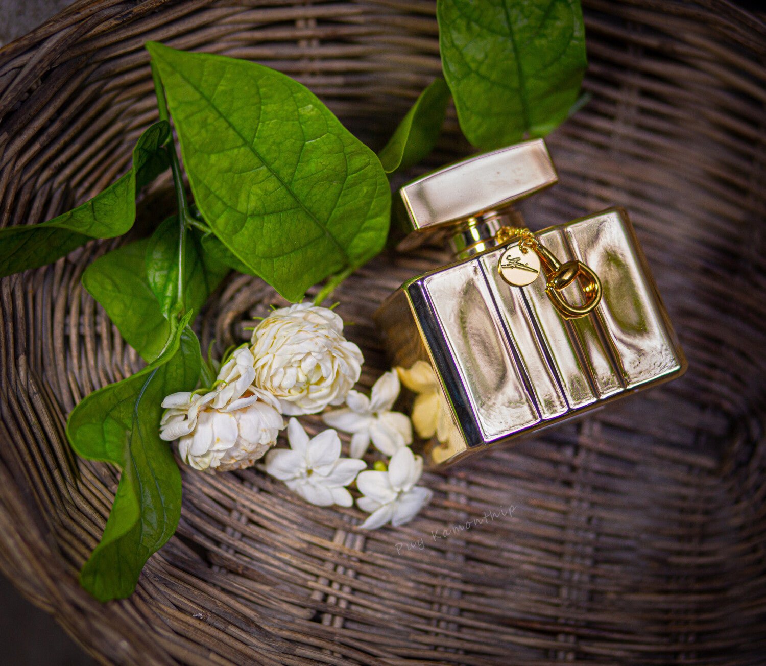 GUCCI PREMIERE WOMEN EDP 100ML - Al Himyan Perfumes | عطور هميان | Oud & Luxury Fragrances - GUCCI