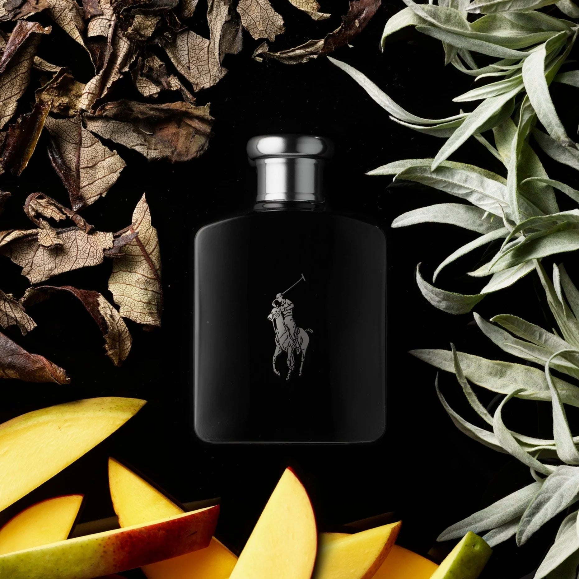 Ralph Lauren Polo Black Travel Set EDT 125ml + EDT 15ml - Al Himyan Perfumes | عطور هميان | Oud & Luxury Fragrances - Ralph Lauren