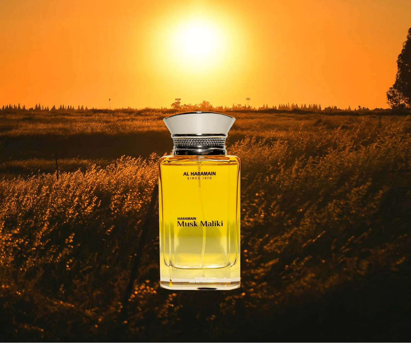 AL HARAMAIN MUSK MALIKI UNISEX EDP 100ML - Al Himyan Perfumes | عطور هميان | Oud & Luxury Fragrances - Al Haramain
