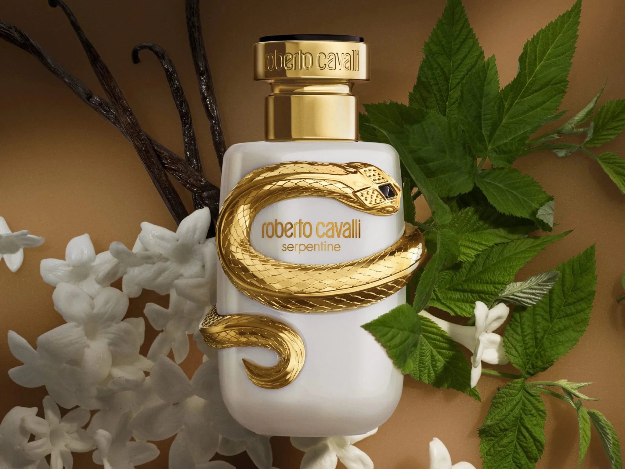 ROBERTO CAVALLI SERPENTINE 2025 FOR WOMEN PARFUM 100ML - Al Himyan Perfumes | عطور هميان | Oud & Luxury Fragrances - Roberto Cavalli