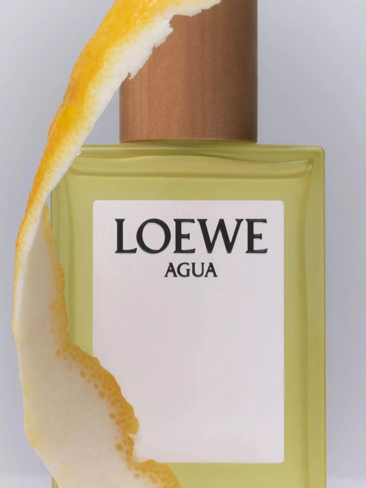 LOEWE AGUA UNISEX EDT 100ML - Al Himyan Perfumes | عطور هميان | Oud & Luxury Fragrances - LOEWE