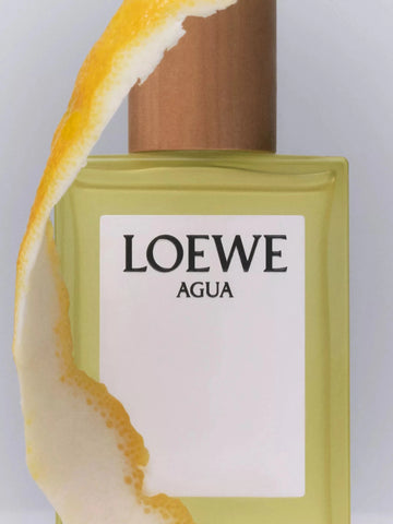 LOEWE AGUA UNISEX EDT 100ML - Al Himyan Perfumes | عطور هميان | Oud & Luxury Fragrances - LOEWE