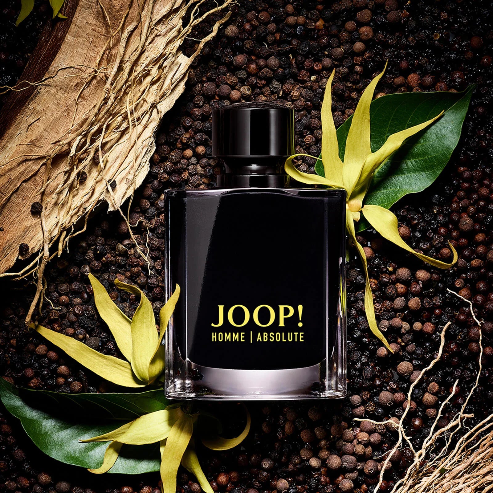 JOOP HOMME ABSOLUTE FOR MEN EDP - Al Himyan Perfumes | عطور هميان | Oud & Luxury Fragrances - JOOP