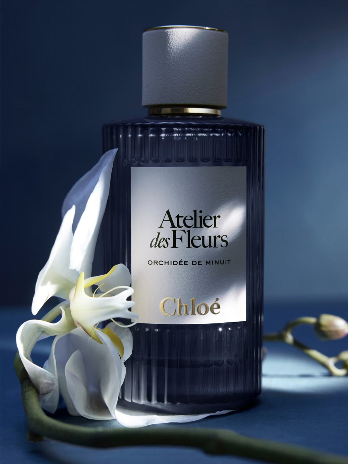 Chloé Atelier des Fleurs Orchidée de Minuit Unisex EDP 50ml Zweitbild