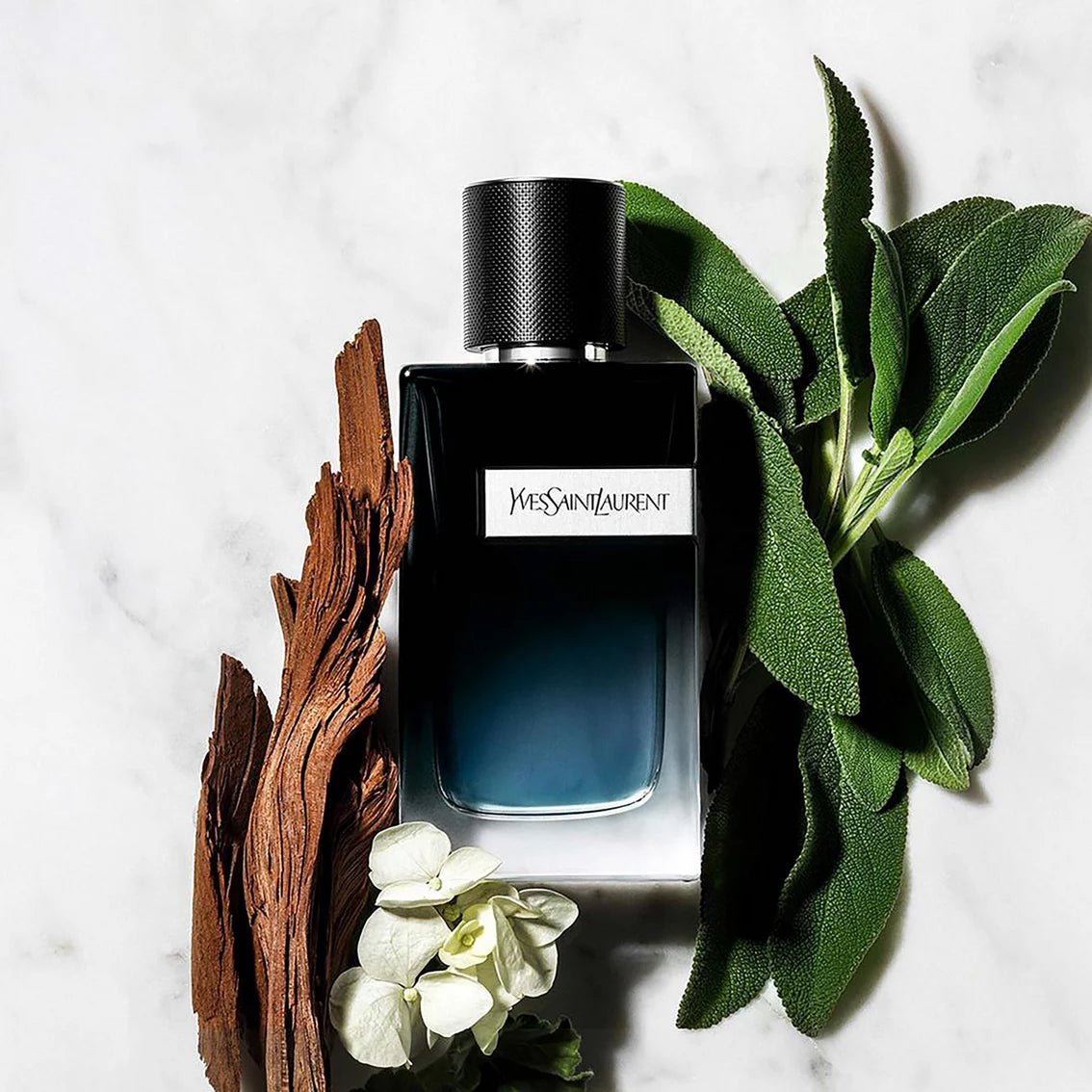 YVES SAINT LAURENT Y FOR MEN EDP - Al Himyan Perfumes | عطور هميان | Oud & Luxury Fragrances - Yves Saint Laurent