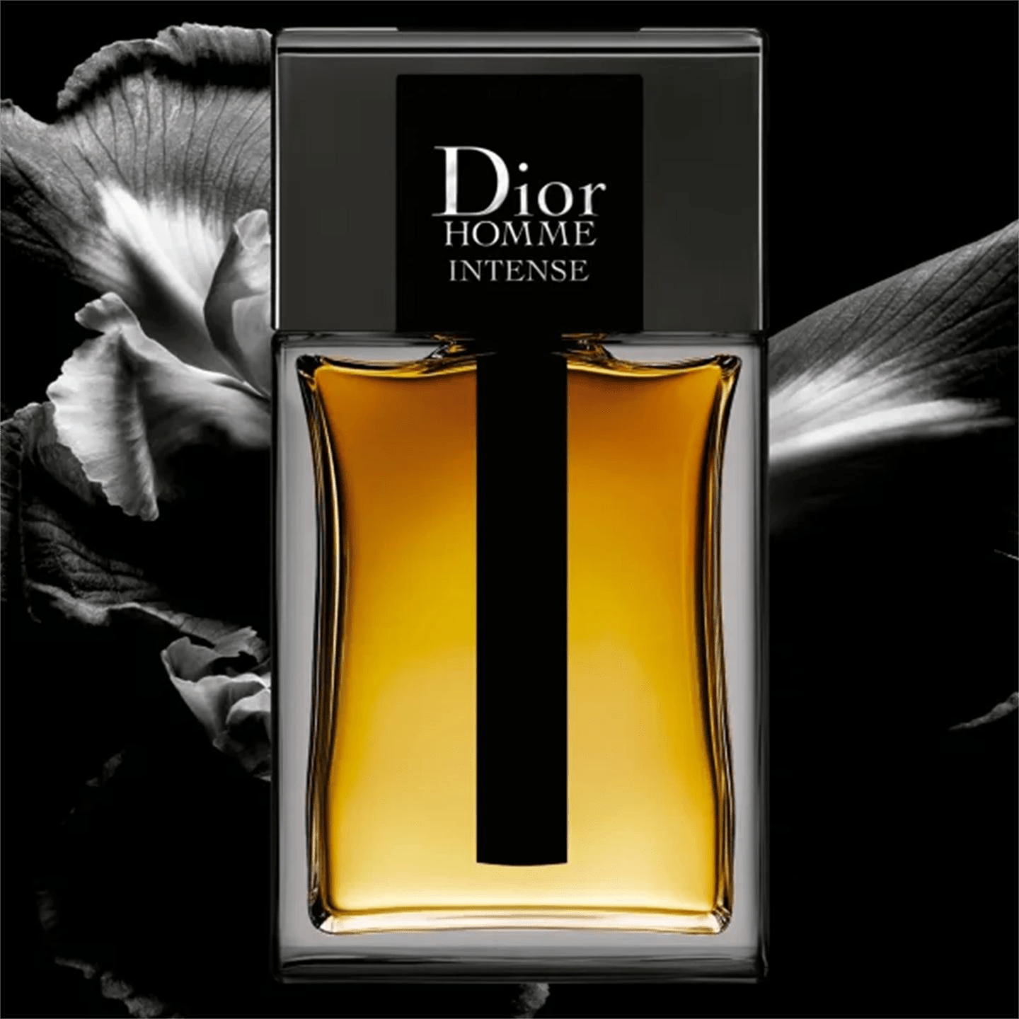 CHRISTIAN DIOR DIOR HOMME INTENSE FOR MEN EDP - Al Himyan Perfumes | عطور هميان | Oud & Luxury Fragrances - Dior