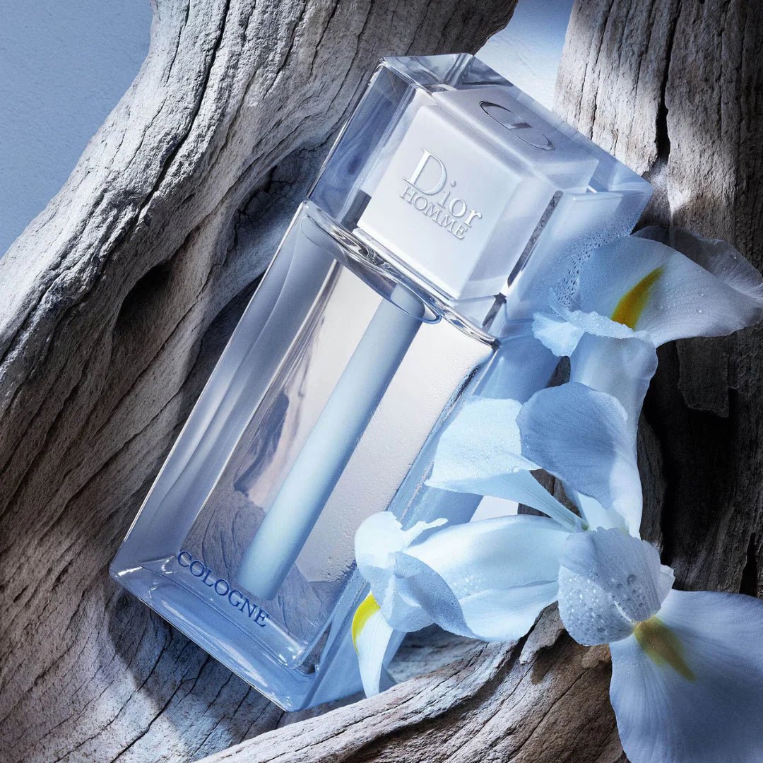 CHRISTIAN DIOR DIOR HOMME COLOGNE FOR MEN 125 Secondary image