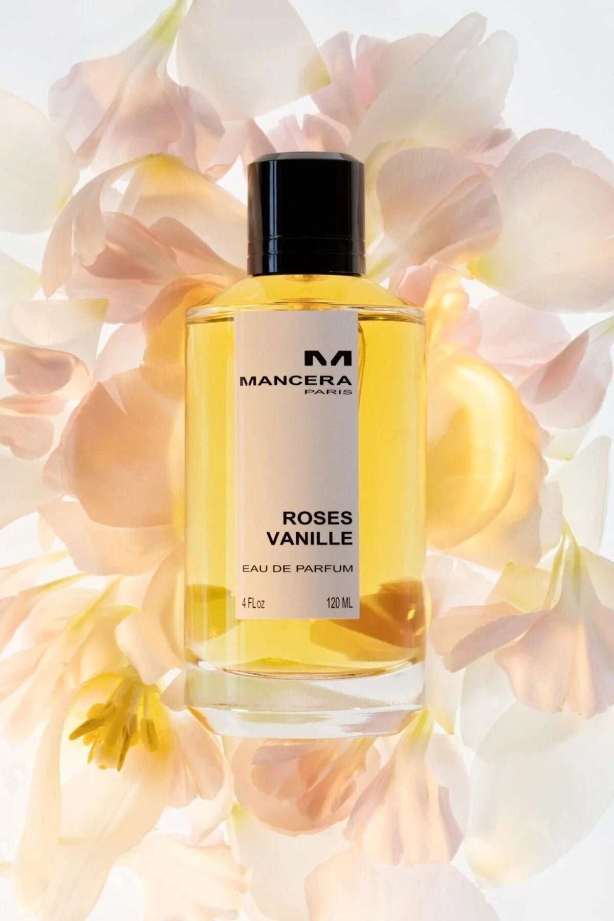 MANCERA ROSES VANILLE FOR WOMEN EDP 120ML - Al Himyan Perfumes | عطور هميان | Oud & Luxury Fragrances - MANCERA