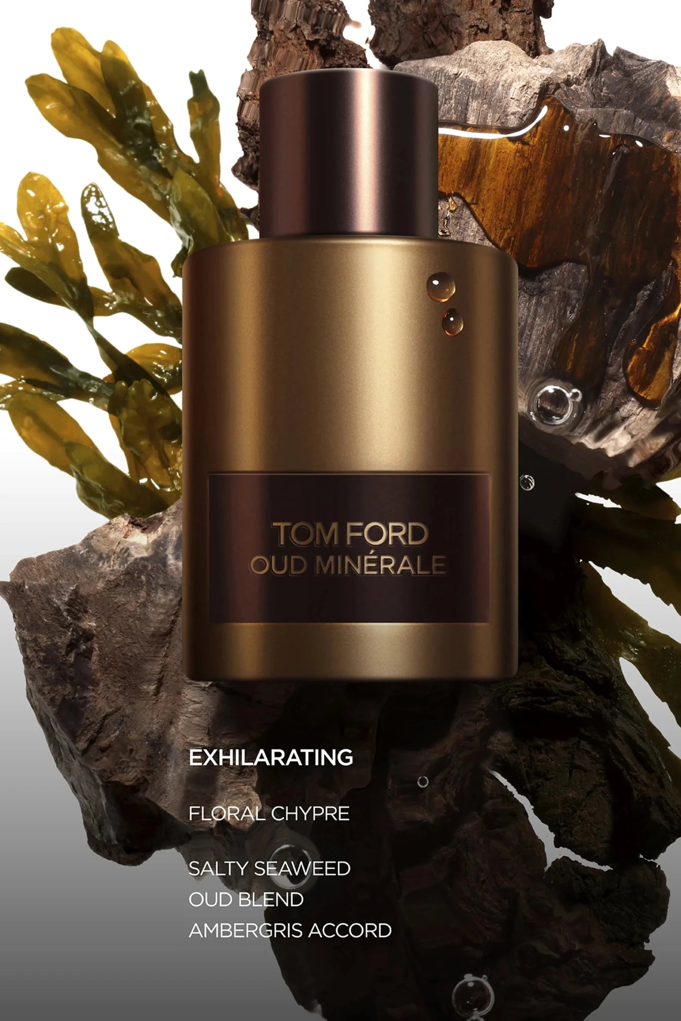 TOM FORD OUD MINERALE UNISEX EDP 100ML - Al Himyan Perfumes | عطور هميان | Oud & Luxury Fragrances - Tom Ford