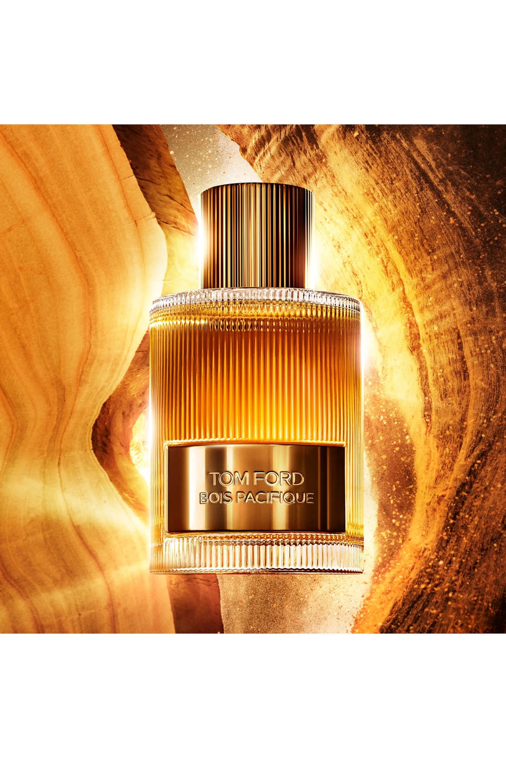 TOM FORD BOIS PACIFIQUE FOR MEN EDP 100ML - Al Himyan Perfumes | عطور هميان | Oud & Luxury Fragrances - Tom Ford