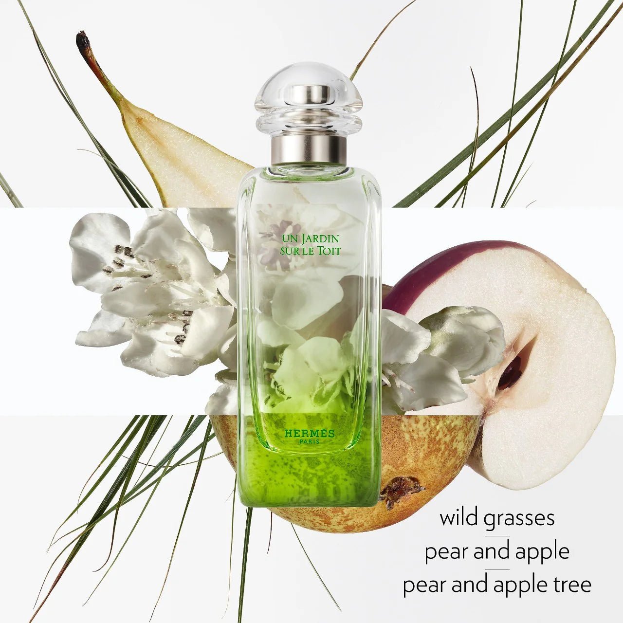 HERMES UN JARDIN SUR LE TOIT UNISEX EDT 100ML - Al Himyan Perfumes | عطور هميان | Oud & Luxury Fragrances - Hermes