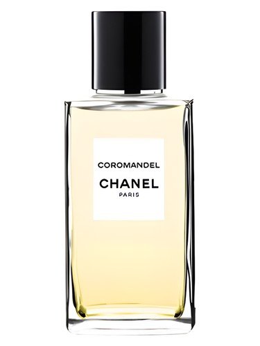 CHANEL COROMANDEL UNISEX EDP 100ML - Al Himyan Perfumes | عطور هميان | Oud & Luxury Fragrances - Chanel Image principale du produit