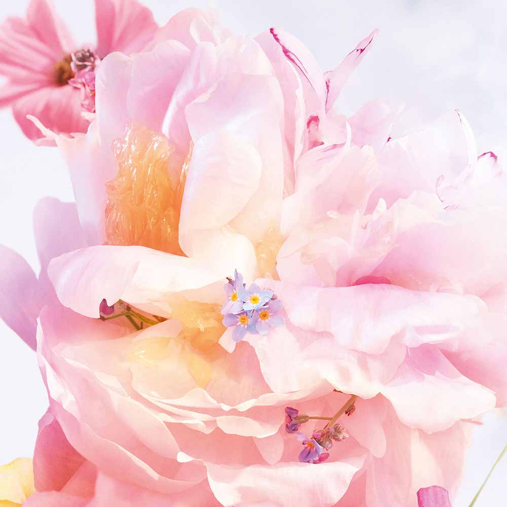 CHRISTIAN DIOR MISS DIOR BLOOMING BOUQUET ROLLER PEARL FOR WOMEN EDT 20ML Secondary image