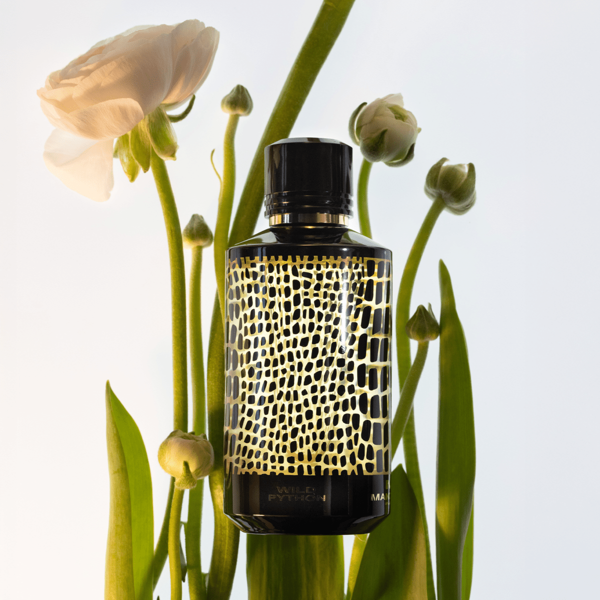 MANCERA WILD PYTHON UNISEX EDP 120ML - Al Himyan Perfumes | عطور هميان | Oud & Luxury Fragrances - MANCERA