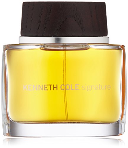 KENNETH COLE SIGNATURE FOR MEN EDT 100ML Secondary image