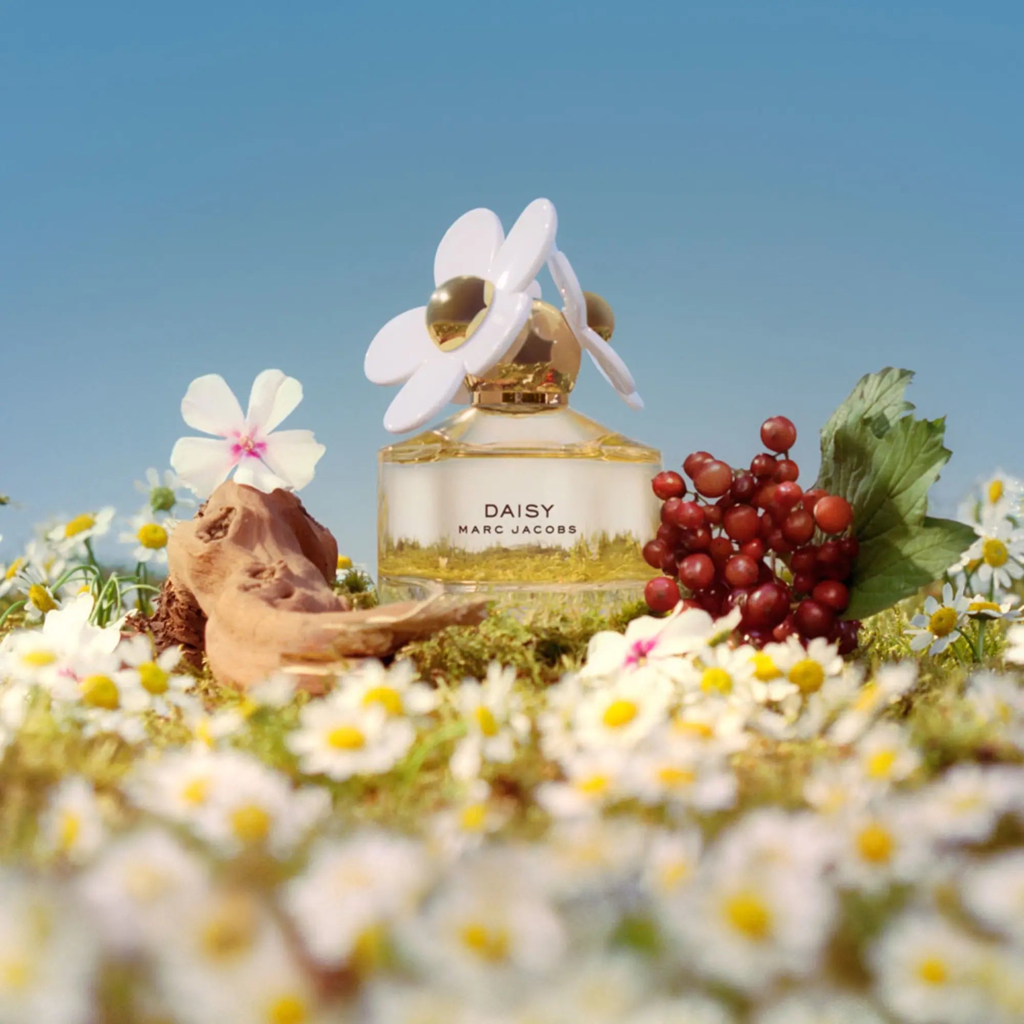 MARC JACOBS DAISY FOR WOMEN EDT 200ML - Al Himyan Perfumes | عطور هميان | Oud & Luxury Fragrances - MARC JACOBS