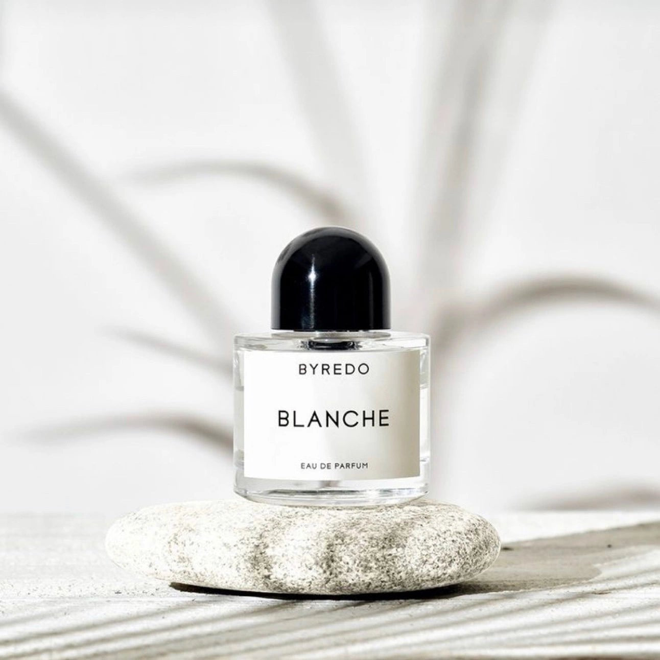 Byredo Blanche EDP For Women - Al Himyan Perfumes | عطور هميان | Oud & Luxury Fragrances - BYREDO