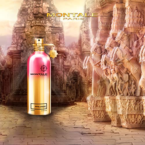 Montale Aoud Legend Unisex EDP 100ml — packaging