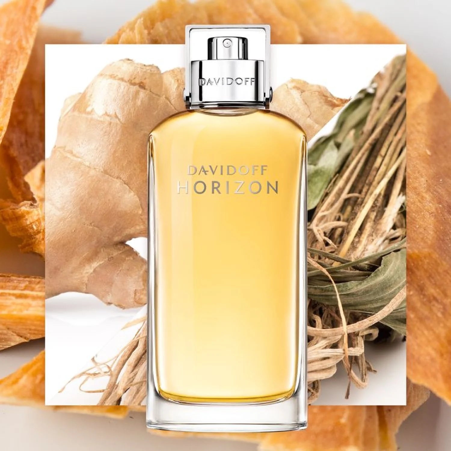 DAVIDOFF HORIZON FOR MEN EDT 125ML Secondary image