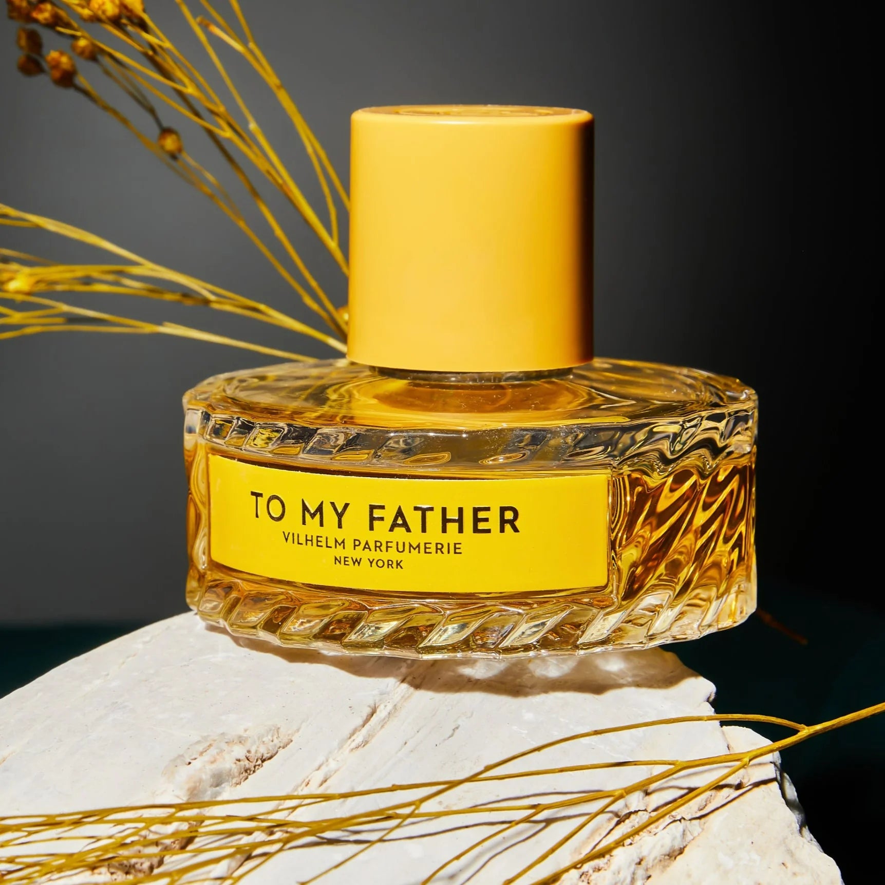 فيلهلم بارفومري (VILHELM PARFUMERIE) تو ماي فاذر للجنسين - أو دو بارفان ١٠٠ مل الصورة الثانوية