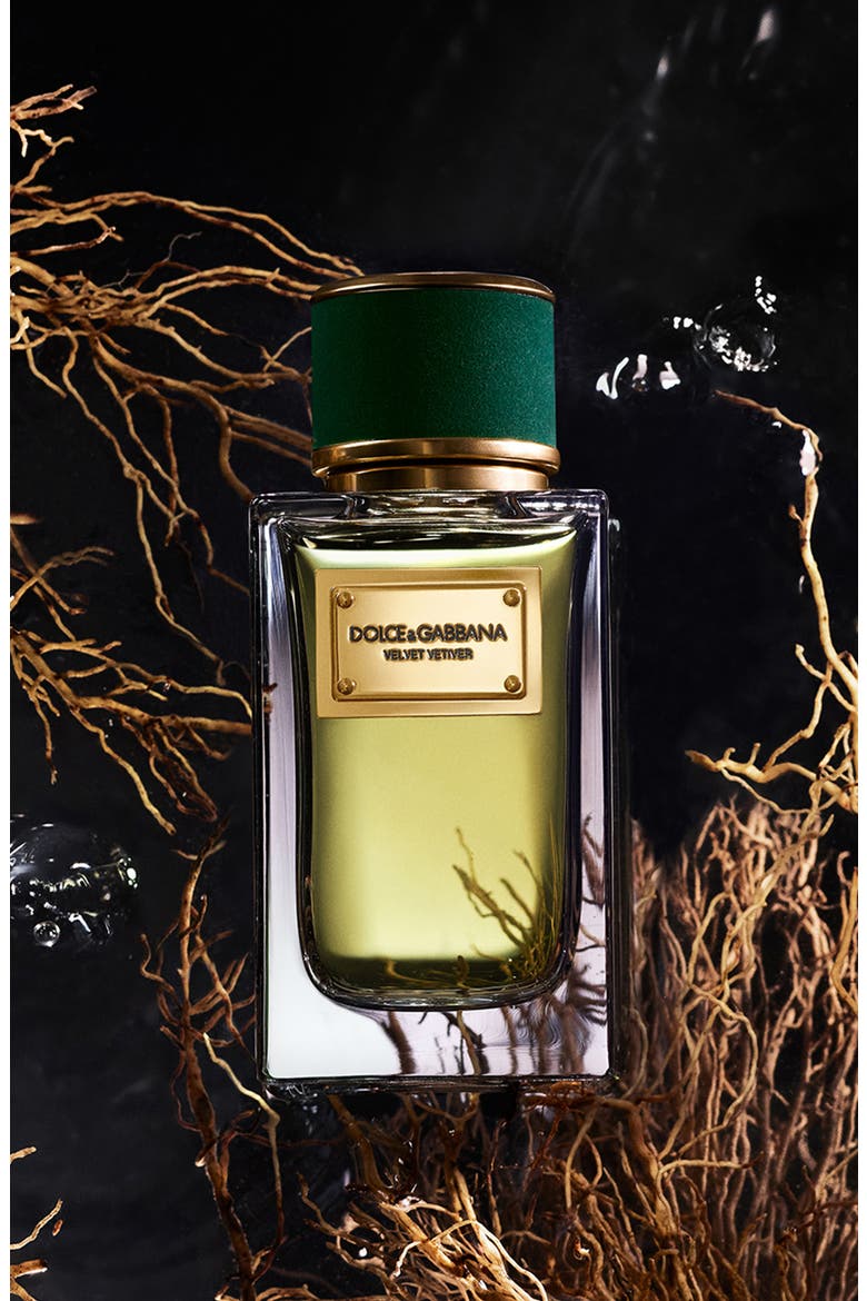 Dolce & Gabbana Velvet Vetiver box