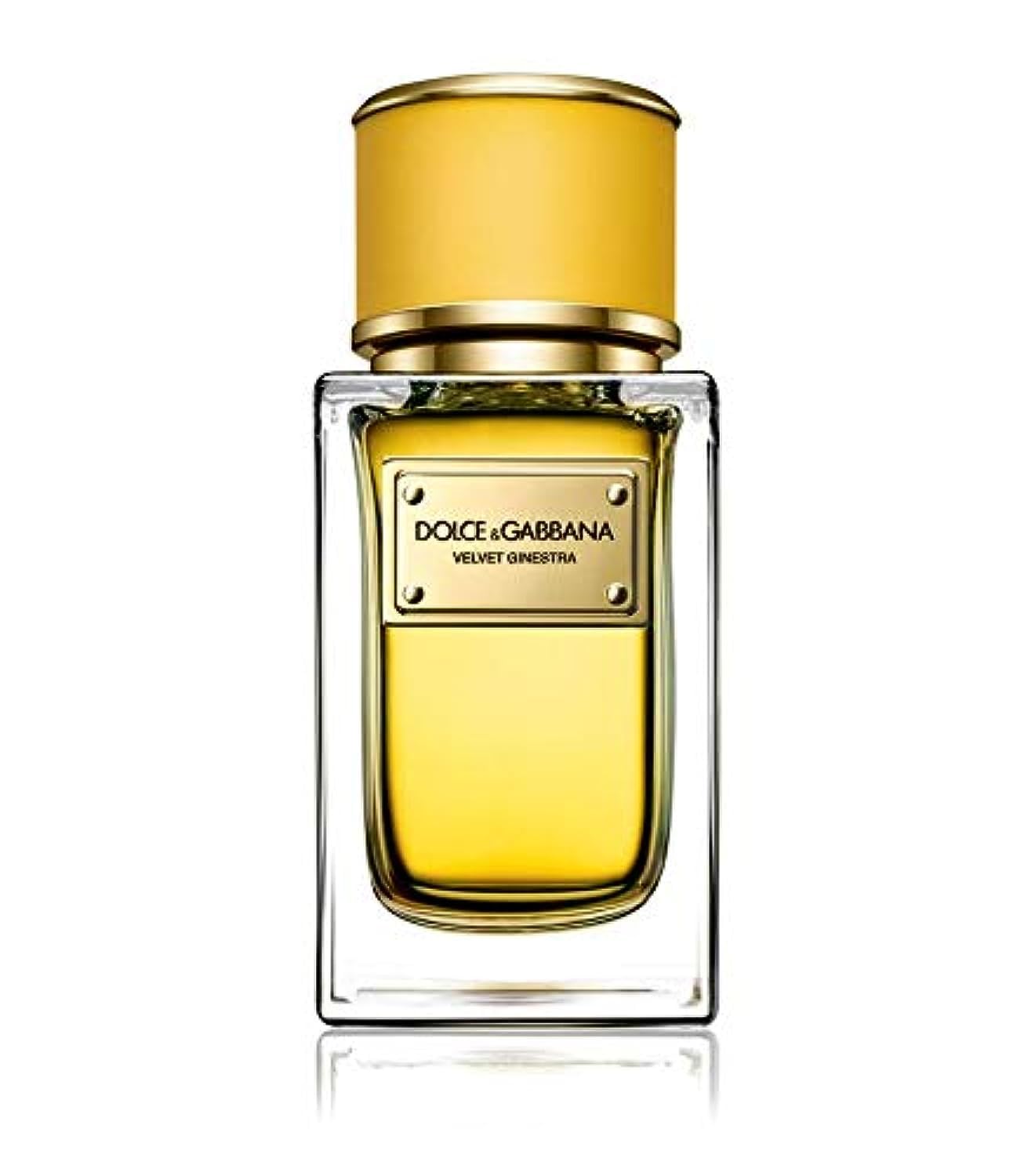 DOLCE & GABBANA VELVET GINESTRA FOR WOMEN EDP 150ML - Al Himyan Perfumes | عطور هميان | Oud & Luxury Fragrances - Dolce&Gabbana الصورة الرئيسية