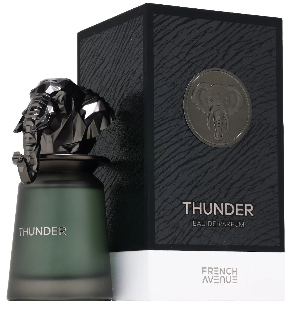 FRENCH AVENUE THUNDER FOR MEN EDP 100ML Secondary image