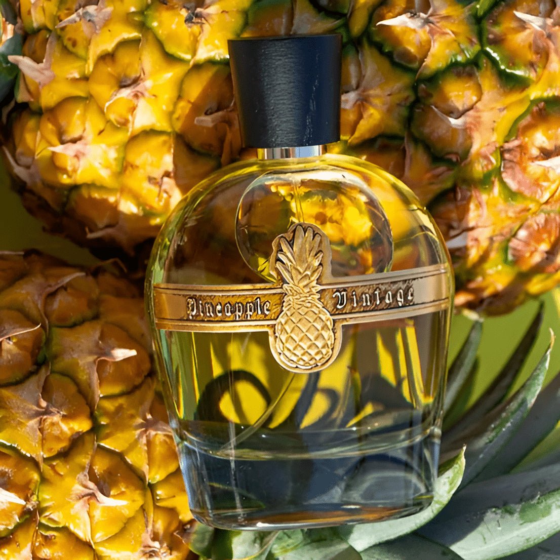 PINEAPPLE EMPERORS SUNSET UNISEX 100ML - Al Himyan Perfumes | عطور هميان | Oud & Luxury Fragrances - Pineapple
