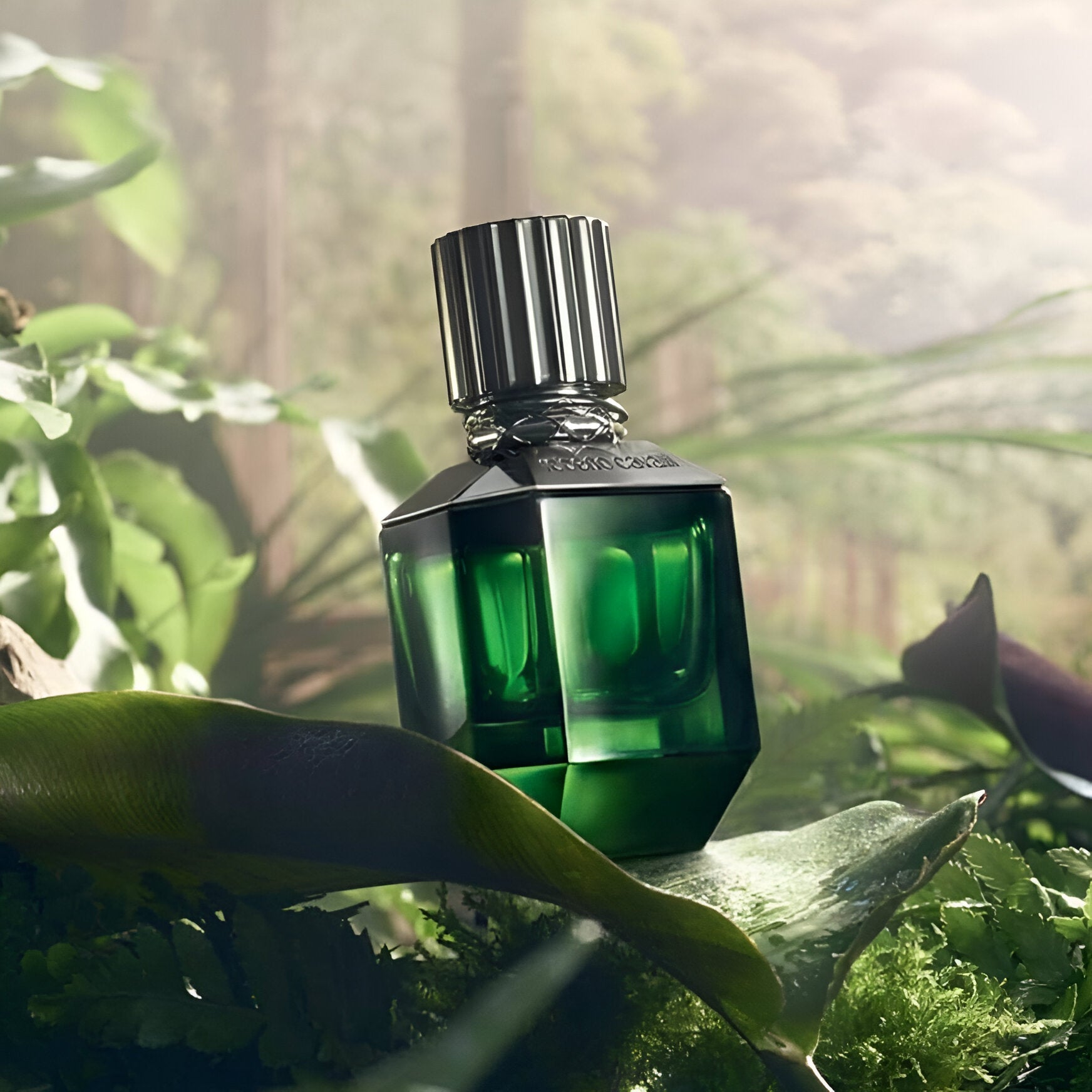 ROBERTO PARADISO FOUND FOR MEN EDT 75ML Secondary image