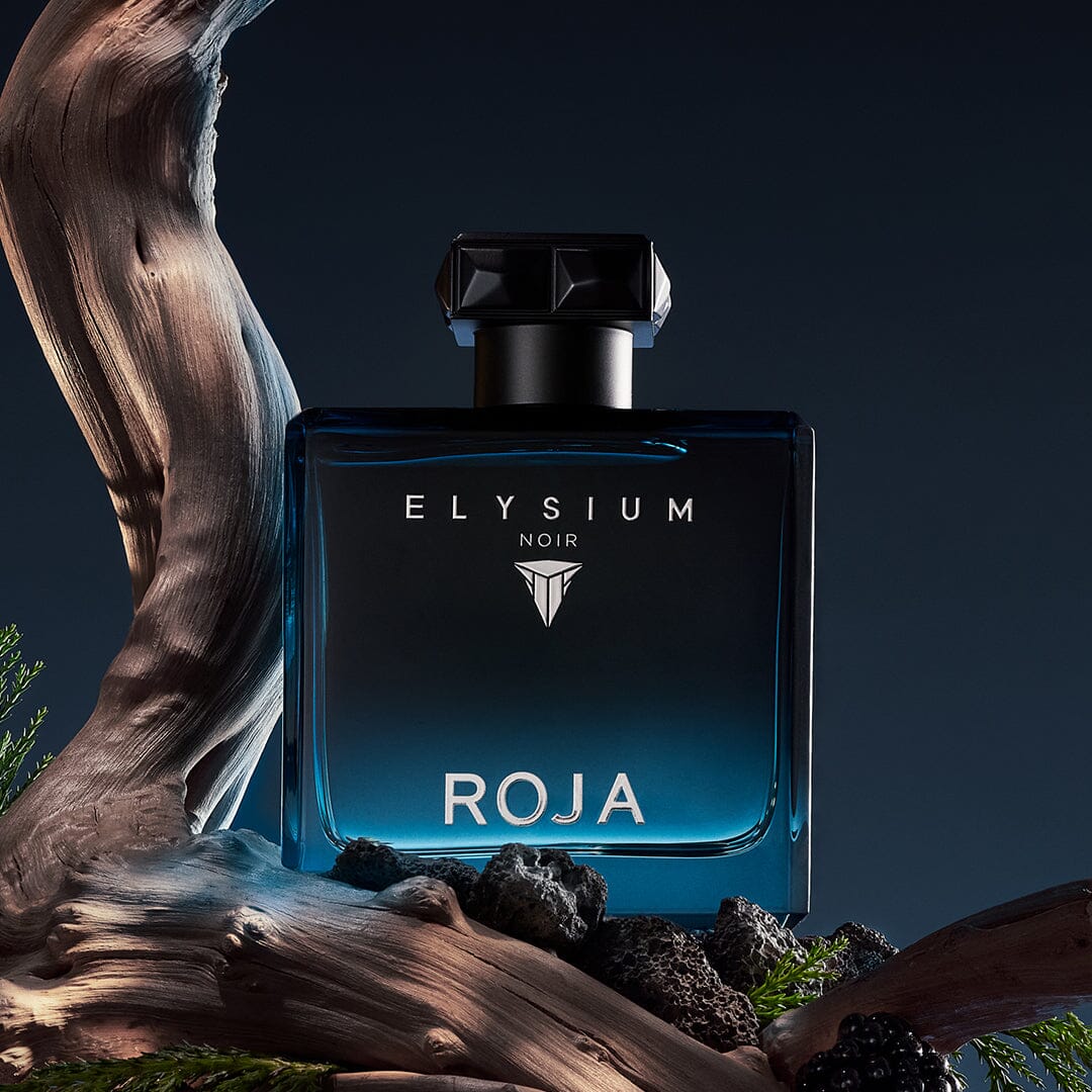 ROJA ELYSIUM NOIR UNISEX EDP 100ML Secondary image