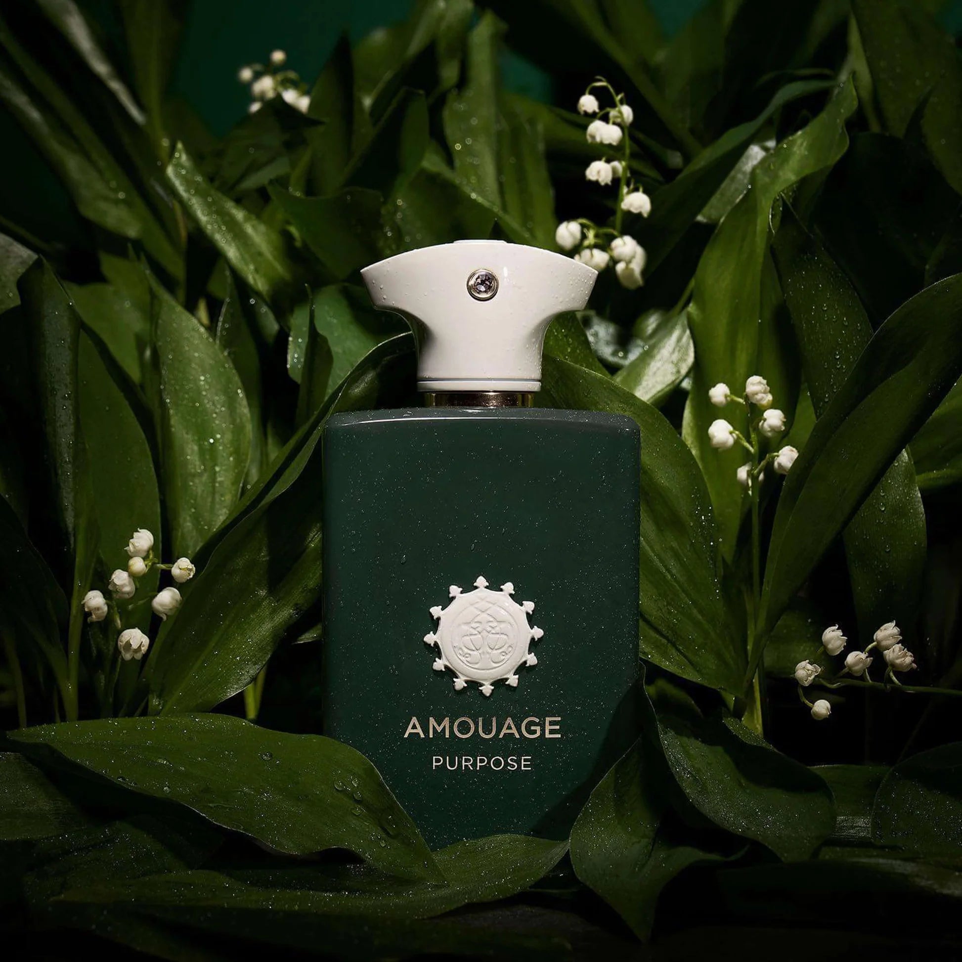 AMOUAGE PURPOSE UNISEX EDP 100ML - Al Himyan Perfumes | عطور هميان | Oud & Luxury Fragrances - Amouage