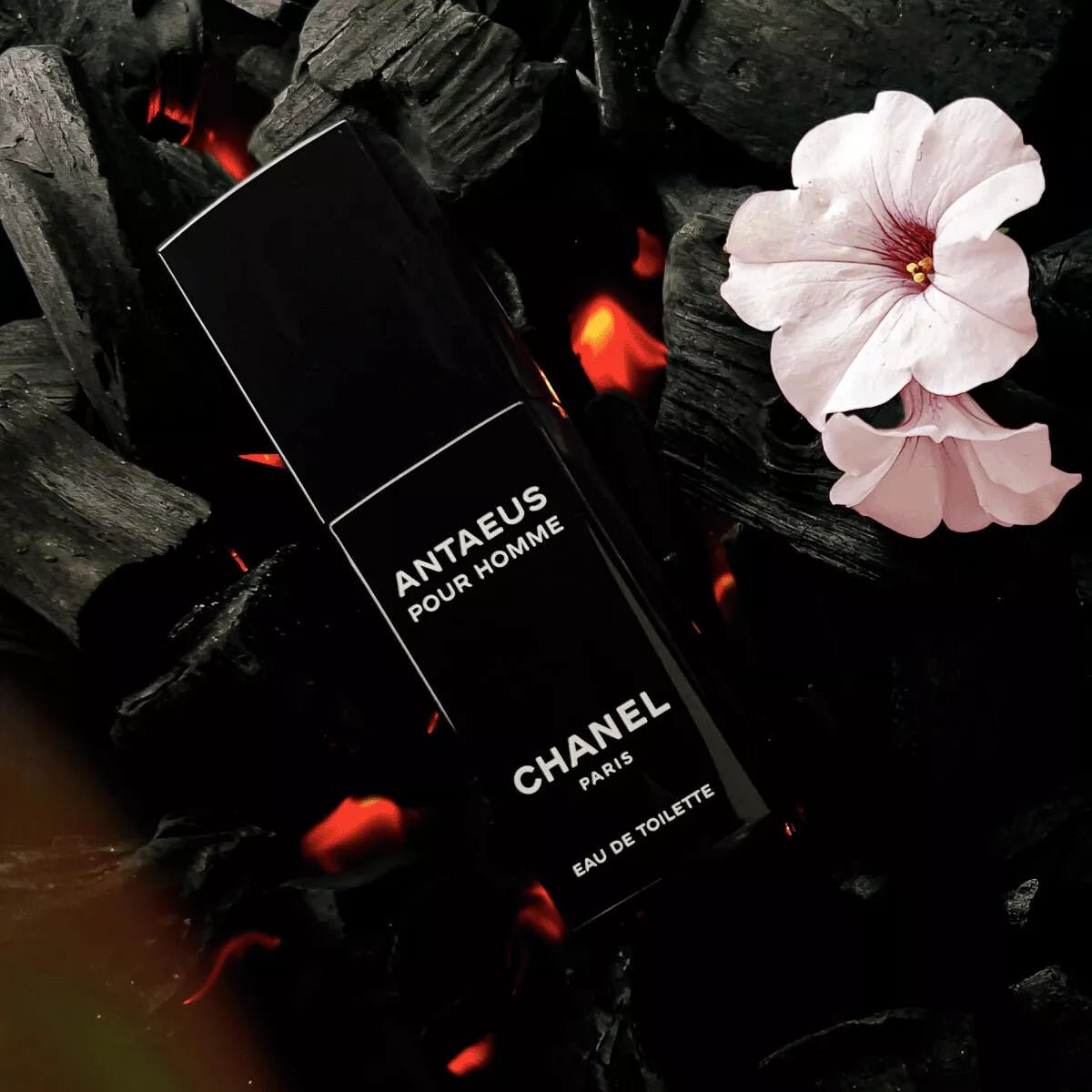 شانيل ANTAEUS للرجال للرجال - عطر دو توالت ١٠٠ مل الصورة الثانوية