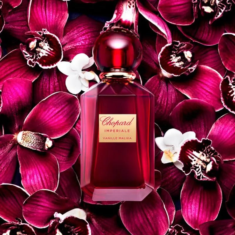 CHOPARD IMPERIALE VANILLE MALIKA UNISEX EDP 100ML - Al Himyan Perfumes | عطور هميان | Oud & Luxury Fragrances - Chopard