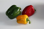 Green Bell Pepper