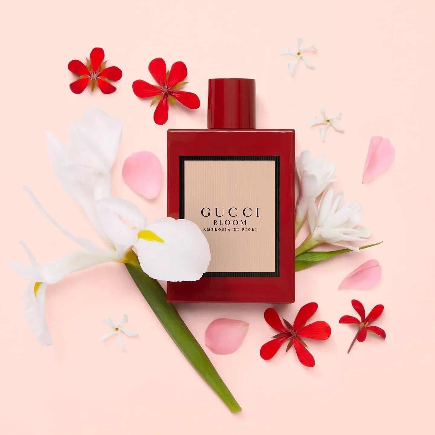 GUCCI BLOOM AMBROSIA DI FIORI FOR WOMEN EDP INTENSE 50ML - Al Himyan Perfumes | عطور هميان | Oud & Luxury Fragrances - Gucci