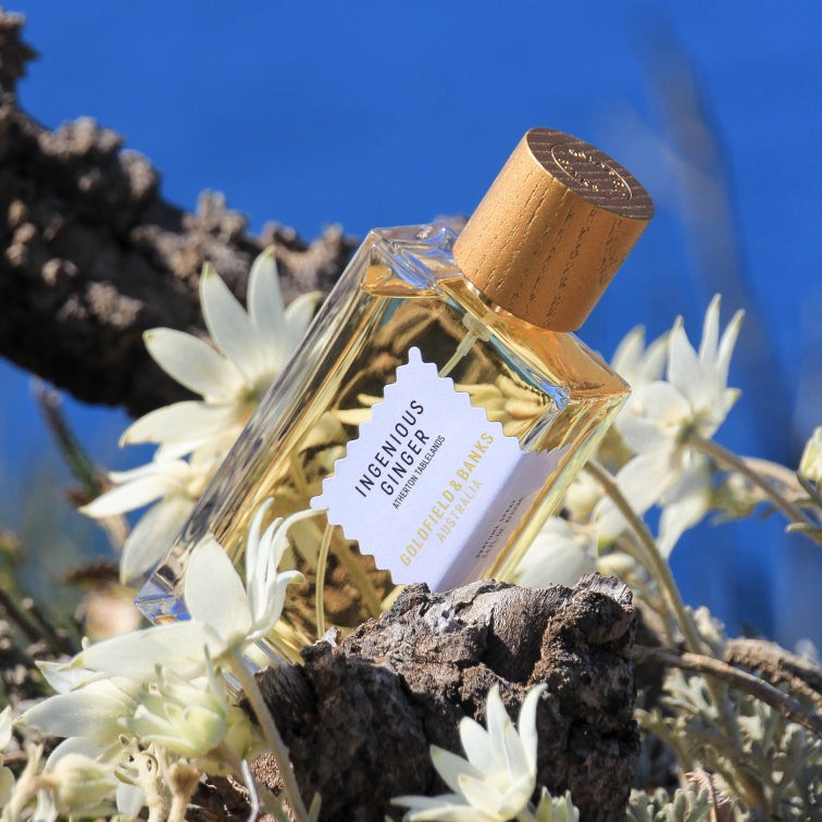 Goldfield & Banks Ingenious Ginger lifestyle scene