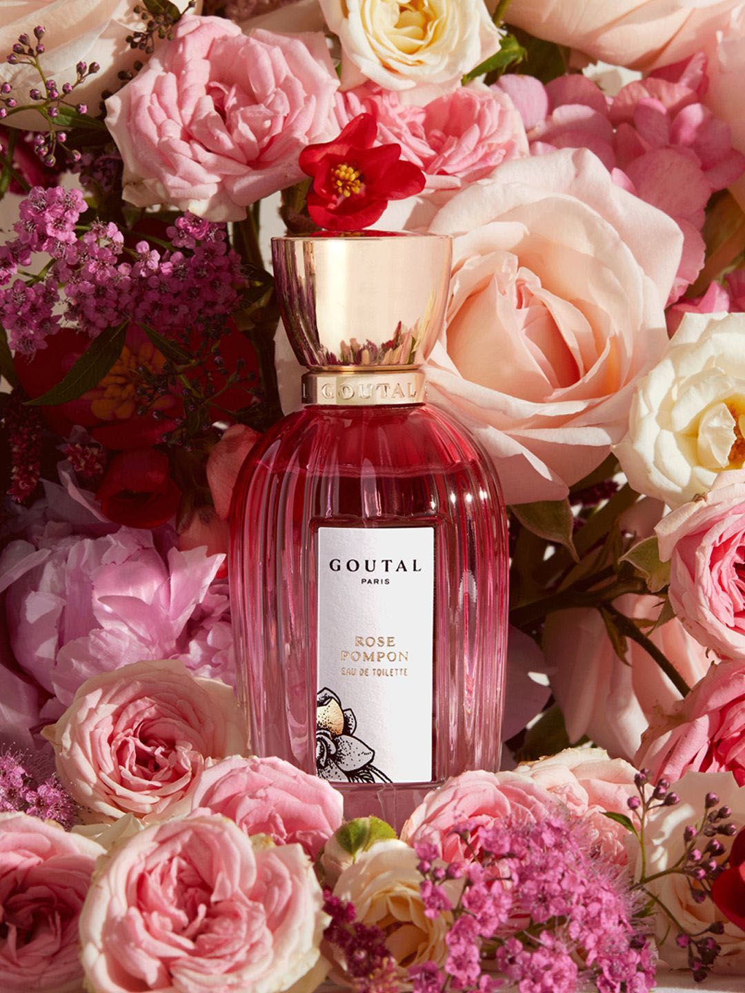 GOUTAL PARIS GOUTAL ANNICK GOUTAL ROSE POMPON UNISEX EDT 100ML الصورة الثانوية