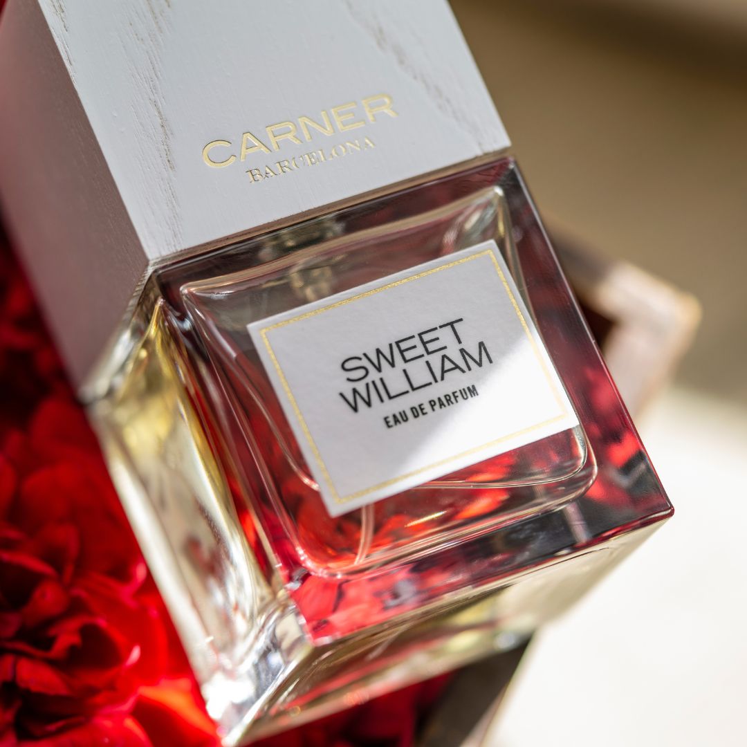 CARNER BARCELONA SWEET WILLIAM UNISEX EDP 100ML