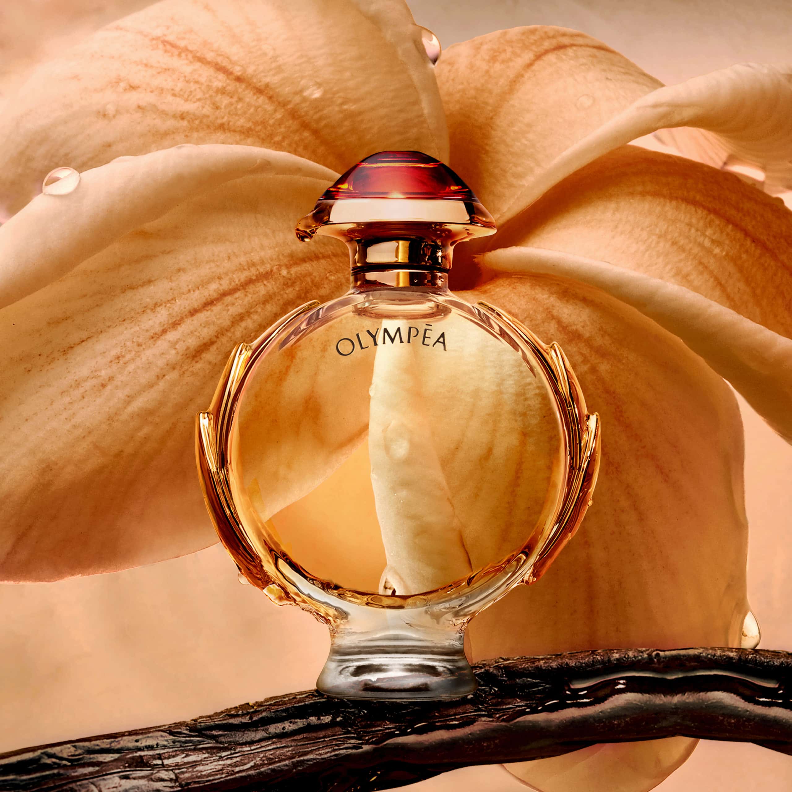 RABANNE OLYMPEA INTENSE FOR WOMEN EDP - Al Himyan Perfumes | عطور هميان | Oud & Luxury Fragrances - PACO RABANNE