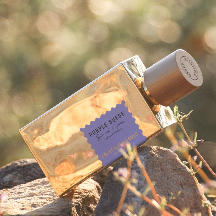 Goldfield & Banks Purple Suede - lifestyle