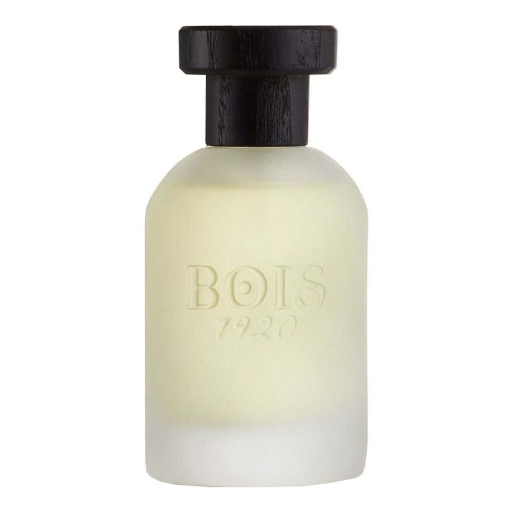 BOIS 1920 VETIVER AMBRATO UNISEX EDP 100ML - Al Himyan Perfumes | عطور هميان | Oud & Luxury Fragrances - Bois 1920